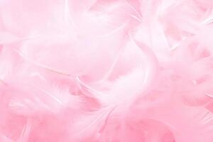 Exquisite Vintage Aesthetic, Pink and White Fluffy Feathers Texture, Graceful Swans' Plumage. photo