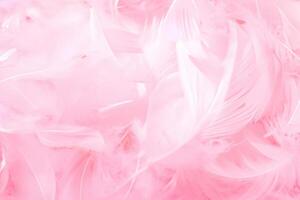 Exquisite Vintage Aesthetic, Pink and White Fluffy Feathers Texture, Graceful Swans' Plumage. photo