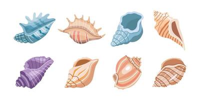 Sea shells vector set, mollusks. Flat illustration of various seashells on white background. Collection for stickers..