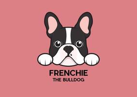A cute little Frenchie is stuck to the edge of the table and waiting for some foodA cute little Frenchie is stuck to the edge of the table and waiting for some food vector