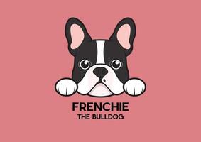 un linda pequeño frenchie es atascado a el borde de el mesa y esperando para algunos comida linda pequeño frenchie es atascado a el borde de el mesa y esperando para algunos comida vector