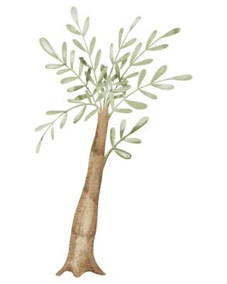 Palm Tree Watercolor illustration. Hand drawn clip art on isolated background. Drawing of a Tropical Jungle plant. Nature design element with green leaves sketch. Ideal for baby room decorations