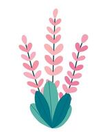 Heather flowers isolated on white background. Flat style vector