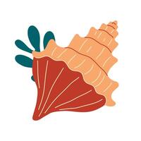 Seashells, mollusks spiral shells vector