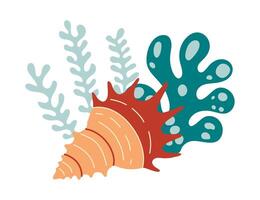 Coral reef with algae, seaweed and seashells in various types vector