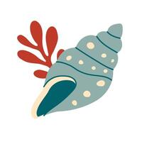 Seashells, mollusks spiral shells vector