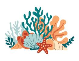 Coral reef with algae, seaweed and seashells in various types vector