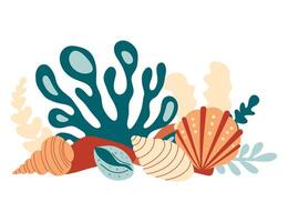 Coral reef with algae, seaweed and seashells in various types vector