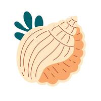 Seashells, mollusks spiral shells vector