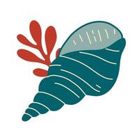 Seashells, mollusks spiral shells vector