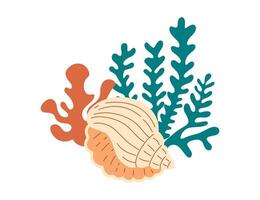 Coral reef with algae, seaweed and seashells in various types vector