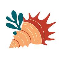 Seashells, mollusks spiral shells vector