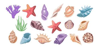 Sea shells vector set, mollusks, corals, algae, starfish. Flat illustration of various seashells on white background. Collection for stickers.