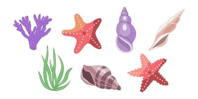 Sea shells vector set, mollusks, corals, algae, starfish. Flat illustration of various seashells on white background. Collection for stickers.