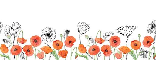 mano dibujado acuarela botánico ilustración flores hojas. rojo amapola papaver, tallos brotes vainas de semillas. sin costura bandera aislado blanco antecedentes. diseño boda, amor tarjetas, remembranza día papelería vector