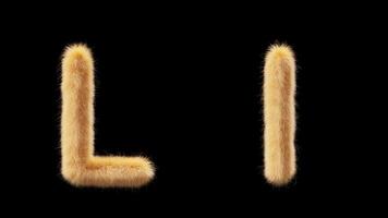 3D animation of a uppercase and lowercase woolen letter L. Wool in the style of the pet Chick. The file contains an Alpha Channel. ProRes4 RGBA video