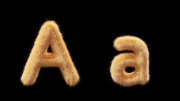 3D animation of a uppercase and lowercase woolen letter A. Wool in the style of the pet Chick. The file contains an Alpha Channel. ProRes4 RGBA video