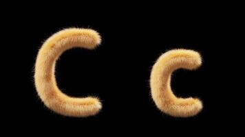 3D animation of a uppercase and lowercase woolen letter C. Wool in the style of the pet Chick. The file contains an Alpha Channel. ProRes4 RGBA video