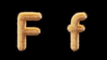 3D animation of a uppercase and lowercase woolen letter F. Wool in the style of the pet Chick. The file contains an Alpha Channel. ProRes4 RGBA video