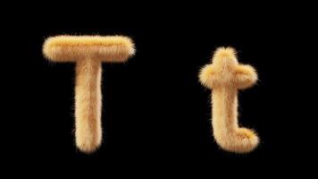 3D animation of a uppercase and lowercase woolen letter T. Wool in the style of the pet Chick. The file contains an Alpha Channel. ProRes4 RGBA video