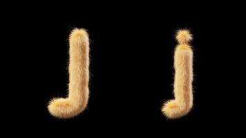 3D animation of a uppercase and lowercase woolen letter J. Wool in the style of the pet Chick. The file contains an Alpha Channel. ProRes4 RGBA video