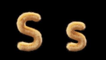 3D animation of a uppercase and lowercase woolen letter S. Wool in the style of the pet Chick. The file contains an Alpha Channel. ProRes4 RGBA video