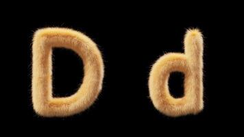 3D animation of a uppercase and lowercase woolen letter D. Wool in the style of the pet Chick. The file contains an Alpha Channel. ProRes4 RGBA video