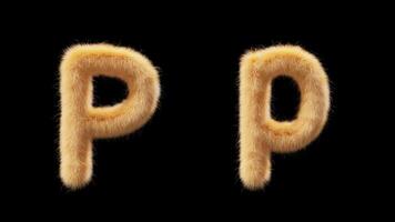 3D animation of a uppercase and lowercase woolen letter P. Wool in the style of the pet Chick. The file contains an Alpha Channel. ProRes4 RGBA video