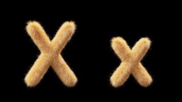 3D animation of a uppercase and lowercase woolen letter X. Wool in the style of the pet Chick. The file contains an Alpha Channel. ProRes4 RGBA video