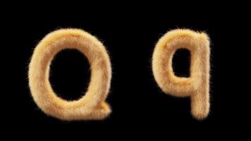 3D animation of a uppercase and lowercase woolen letter Q. Wool in the style of the pet Chick. The file contains an Alpha Channel. ProRes4 RGBA video