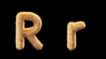 3D animation of a uppercase and lowercase woolen letter R. Wool in the style of the pet Chick. The file contains an Alpha Channel. ProRes4 RGBA video