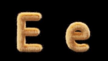 3D animation of a uppercase and lowercase woolen letter E. Wool in the style of the pet Chick. The file contains an Alpha Channel. ProRes4 RGBA video