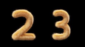 3D animation woolen numbers 2 and 3. Wool in the style of the pet Chick. The file contains an Alpha Channel. ProRes4 RGBA video