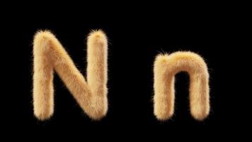 3D animation of a uppercase and lowercase woolen letter N. Wool in the style of the pet Chick. The file contains an Alpha Channel. ProRes4 RGBA video