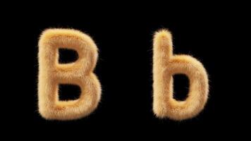 3D animation of a uppercase and lowercase woolen letter B. Wool in the style of the pet Chick. The file contains an Alpha Channel. ProRes4 RGBA video