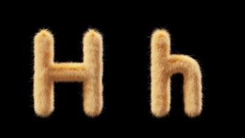 3D animation of a uppercase and lowercase woolen letter H. Wool in the style of the pet Chick. The file contains an Alpha Channel. ProRes4 RGBA video