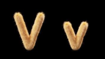 3D animation of a uppercase and lowercase woolen letter V. Wool in the style of the pet Chick. The file contains an Alpha Channel. ProRes4 RGBA video