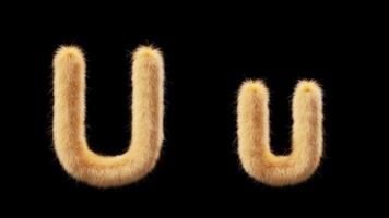 3D animation of a uppercase and lowercase woolen letter U. Wool in the style of the pet Chick. The file contains an Alpha Channel. ProRes4 RGBA video