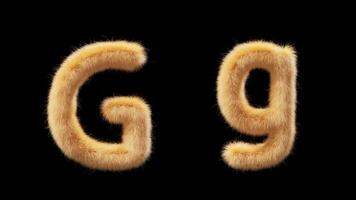 3D animation of a uppercase and lowercase woolen letter G. Wool in the style of the pet Chick. The file contains an Alpha Channel. ProRes4 RGBA video