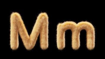 3D animation of a uppercase and lowercase woolen letter M. Wool in the style of the pet Chick. The file contains an Alpha Channel. ProRes4 RGBA video