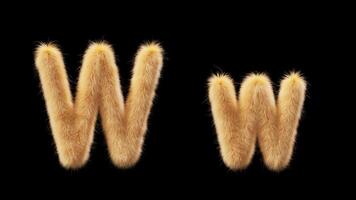 3D animation of a uppercase and lowercase woolen letter W. Wool in the style of the pet Chick. The file contains an Alpha Channel. ProRes4 RGBA video