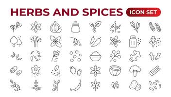 Herbs and spices - minimal thin-line web icon set. Outline icons collection. Spices, condiments, and herbs.Condiment icons set. Outline icon set. vector