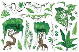 Tropical plants and lianes set graphic elements in flat design. Bundle of different type exotic trees and leaves, wild flora and other green jungle foliage. Vector illustration isolated objects