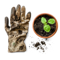 ai généré taché de terre jardinage gants jumelé avec mis en pot plante isolé sur transparent Contexte png