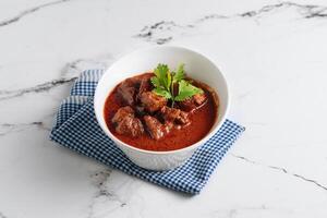 Mutton Rogan Josh, mutten qorma, mutten curry, mutton karahi in a dish isolated on napkin side view on grey background photo