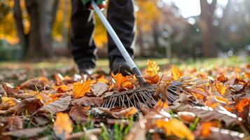 AI generated Person Sweeping Leaves With Broom photo