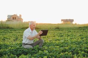 farmer in filed holding tablet in his hands and examining soybean corp. photo