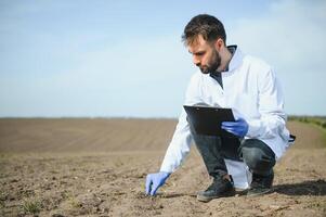 Agronomist studying samples of soil in field photo