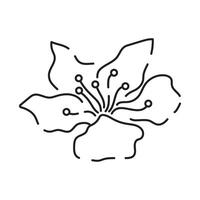 Sakura line icon. Linear Japanese cherry blossom symbols isolated on a white background. Spring vector illustration.