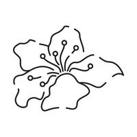 Sakura line icon. Linear Japanese cherry blossom symbols isolated on a white background. Spring vector illustration.